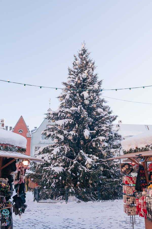 рождественская елка на ратушной площади таллина
